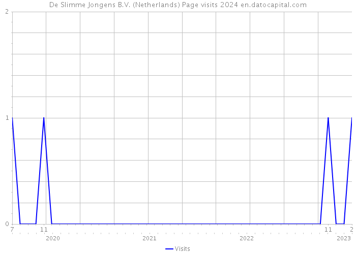 De Slimme Jongens B.V. (Netherlands) Page visits 2024 