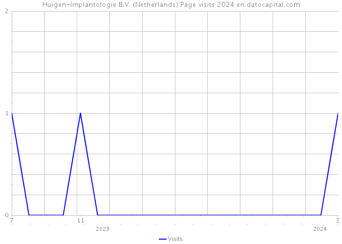 Huigen-Implantologie B.V. (Netherlands) Page visits 2024 
