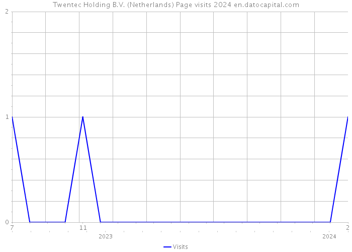 Twentec Holding B.V. (Netherlands) Page visits 2024 