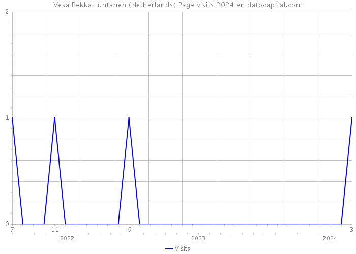 Vesa Pekka Luhtanen (Netherlands) Page visits 2024 