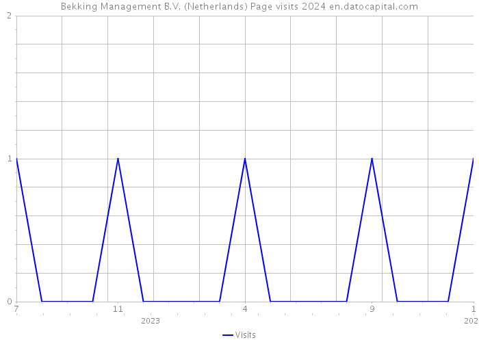 Bekking Management B.V. (Netherlands) Page visits 2024 