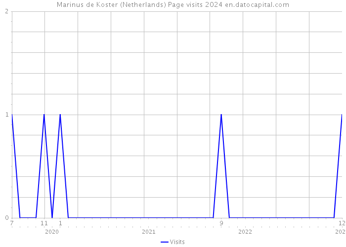 Marinus de Koster (Netherlands) Page visits 2024 