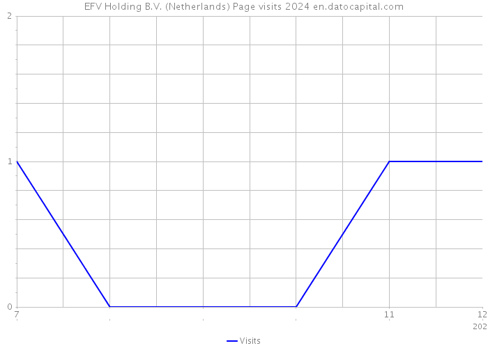 EFV Holding B.V. (Netherlands) Page visits 2024 