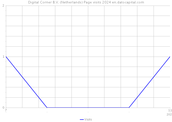 Digital Corner B.V. (Netherlands) Page visits 2024 