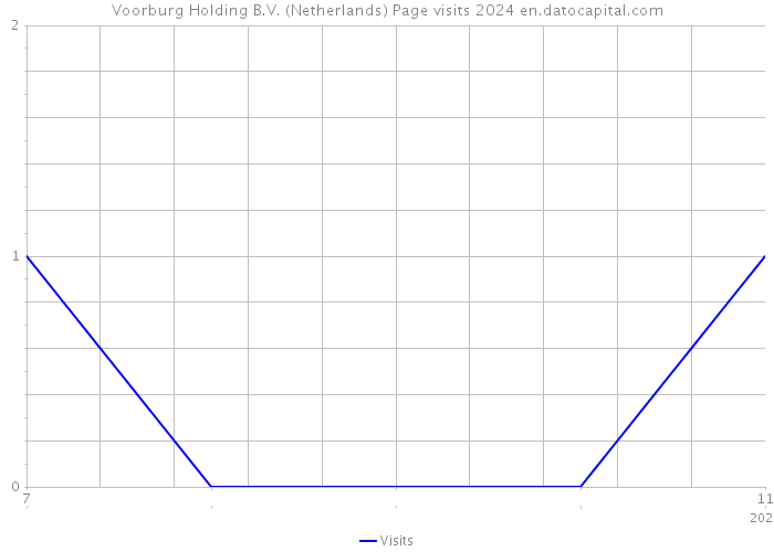 Voorburg Holding B.V. (Netherlands) Page visits 2024 