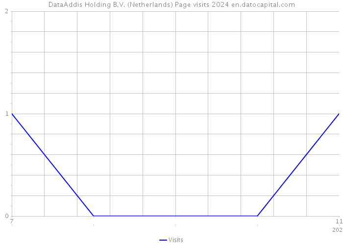 DataAddis Holding B.V. (Netherlands) Page visits 2024 