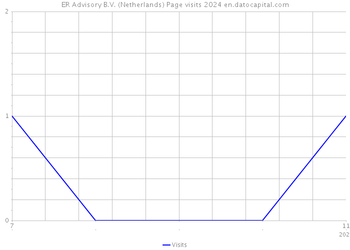 ER Advisory B.V. (Netherlands) Page visits 2024 