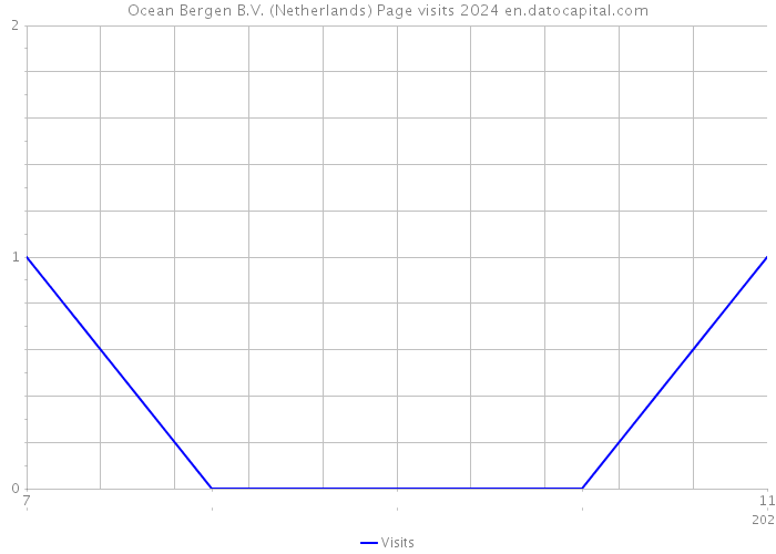 Ocean Bergen B.V. (Netherlands) Page visits 2024 