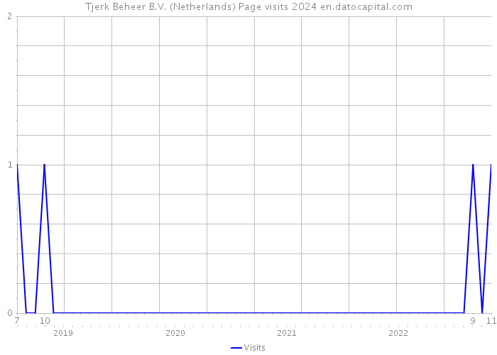 Tjerk Beheer B.V. (Netherlands) Page visits 2024 