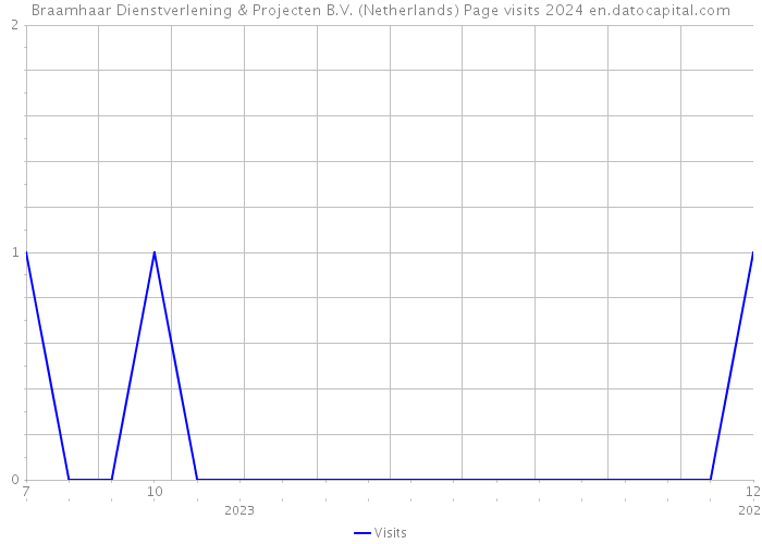 Braamhaar Dienstverlening & Projecten B.V. (Netherlands) Page visits 2024 