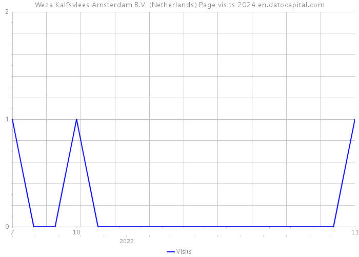 Weza Kalfsvlees Amsterdam B.V. (Netherlands) Page visits 2024 