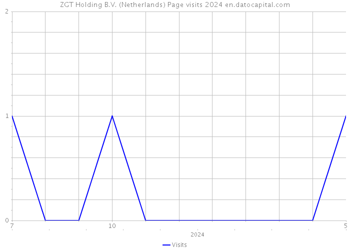 ZGT Holding B.V. (Netherlands) Page visits 2024 