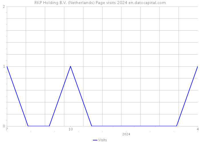 RKP Holding B.V. (Netherlands) Page visits 2024 
