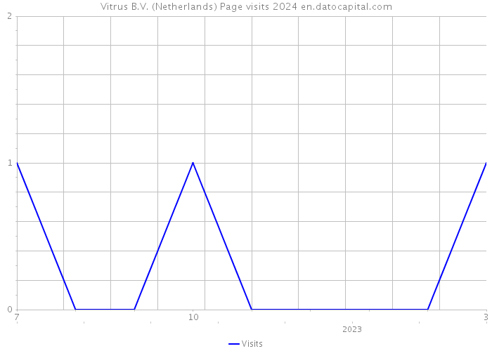 Vitrus B.V. (Netherlands) Page visits 2024 