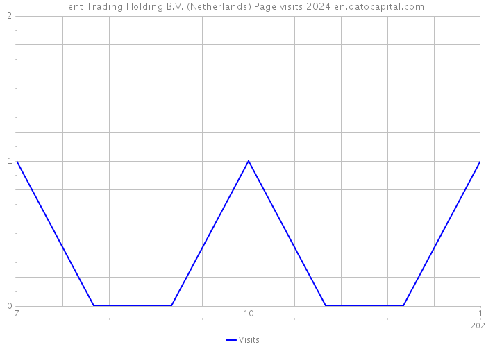 Tent Trading Holding B.V. (Netherlands) Page visits 2024 
