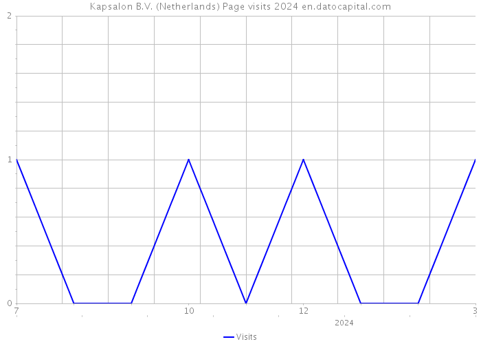 Kapsalon B.V. (Netherlands) Page visits 2024 