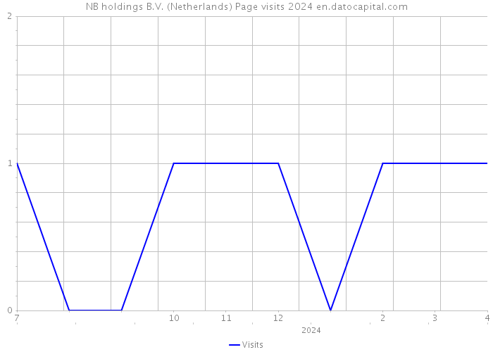 NB holdings B.V. (Netherlands) Page visits 2024 