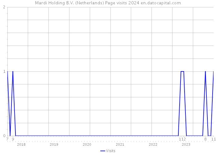 Mardi Holding B.V. (Netherlands) Page visits 2024 