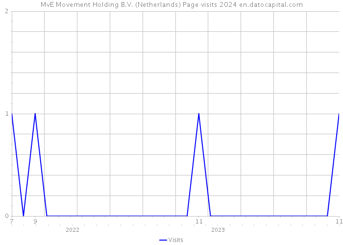 MvE Movement Holding B.V. (Netherlands) Page visits 2024 