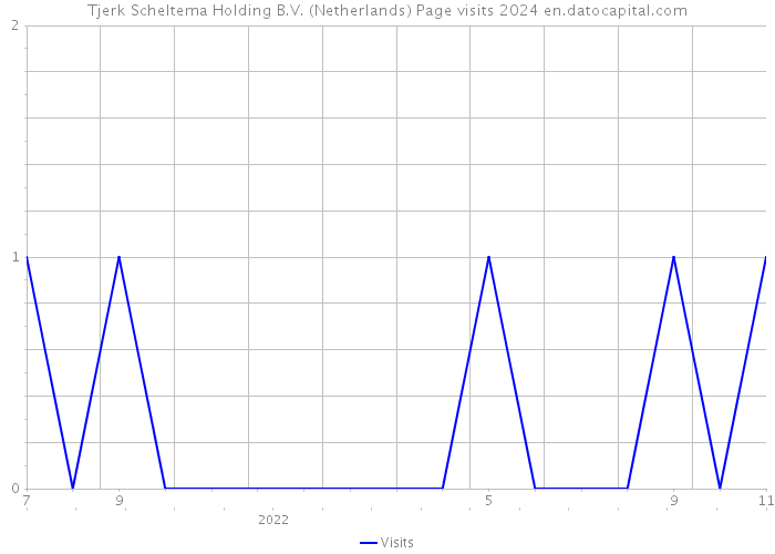 Tjerk Scheltema Holding B.V. (Netherlands) Page visits 2024 