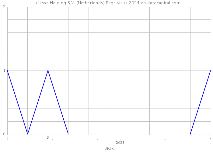 Lucasse Holding B.V. (Netherlands) Page visits 2024 
