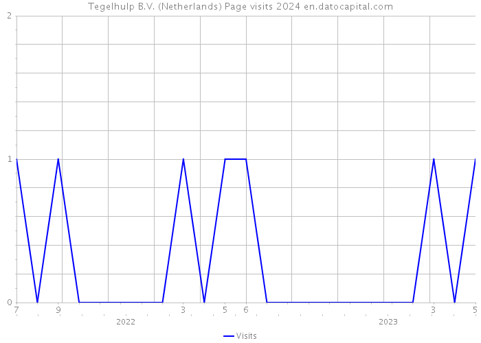 Tegelhulp B.V. (Netherlands) Page visits 2024 