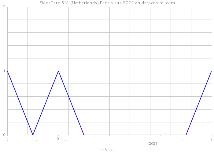 FloorCare B.V. (Netherlands) Page visits 2024 