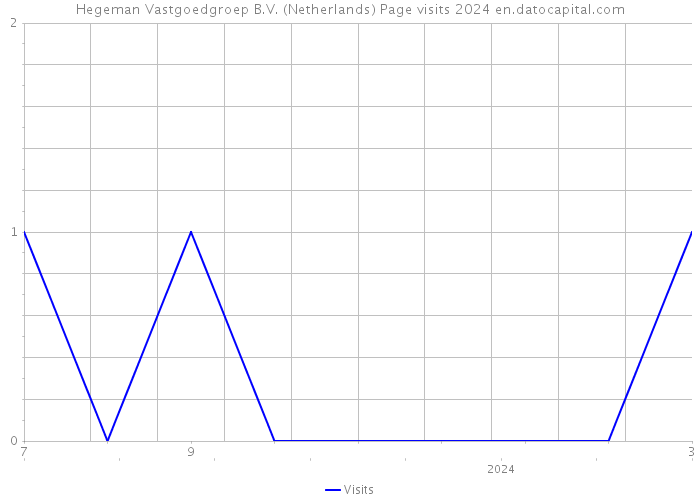 Hegeman Vastgoedgroep B.V. (Netherlands) Page visits 2024 