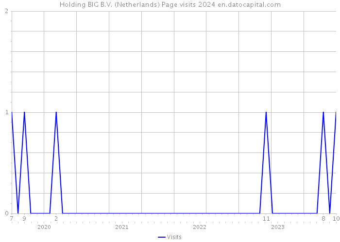 Holding BIG B.V. (Netherlands) Page visits 2024 