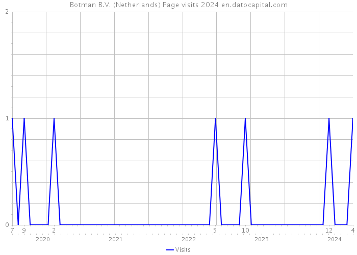 Botman B.V. (Netherlands) Page visits 2024 