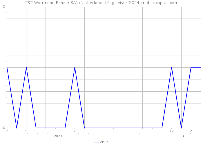 T&T Wortmann Beheer B.V. (Netherlands) Page visits 2024 