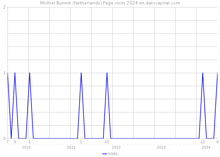 Michiel Bunnik (Netherlands) Page visits 2024 