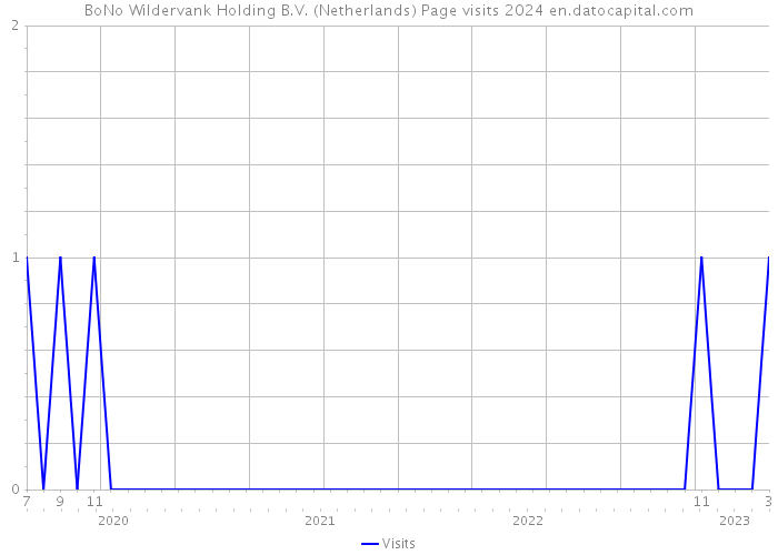 BoNo Wildervank Holding B.V. (Netherlands) Page visits 2024 