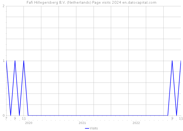 Fafi Hillegersberg B.V. (Netherlands) Page visits 2024 