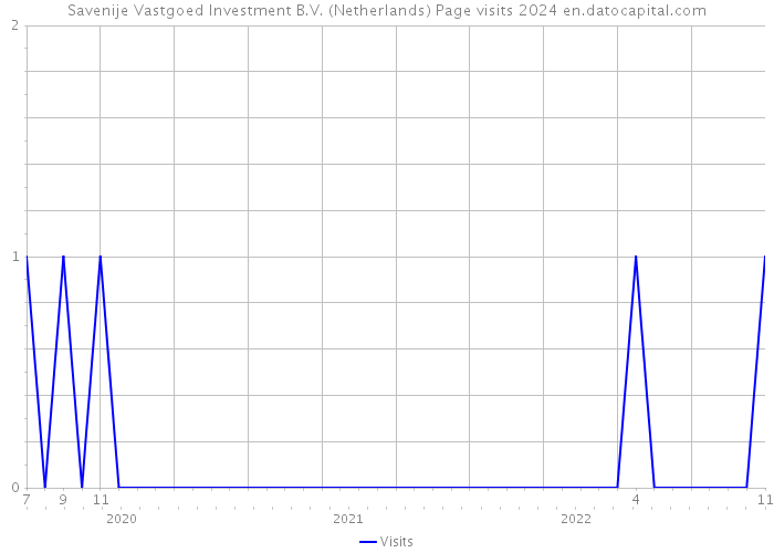 Savenije Vastgoed Investment B.V. (Netherlands) Page visits 2024 