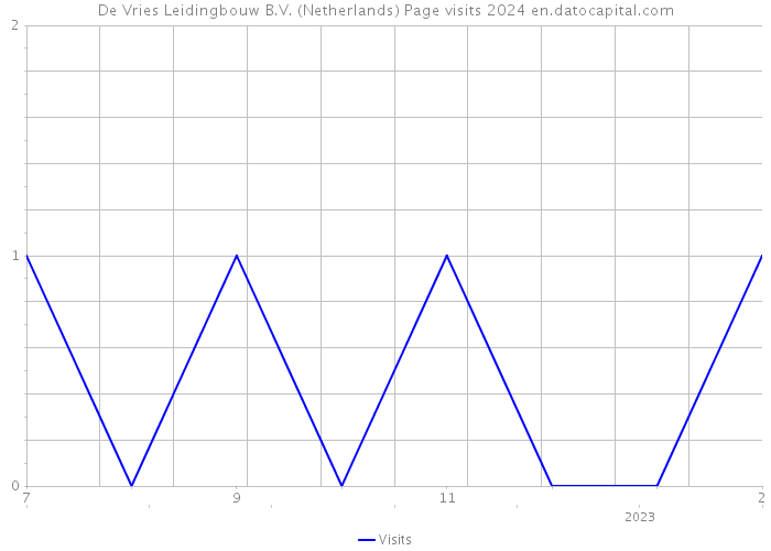 De Vries Leidingbouw B.V. (Netherlands) Page visits 2024 
