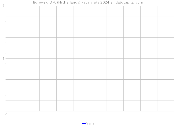 Borowski B.V. (Netherlands) Page visits 2024 