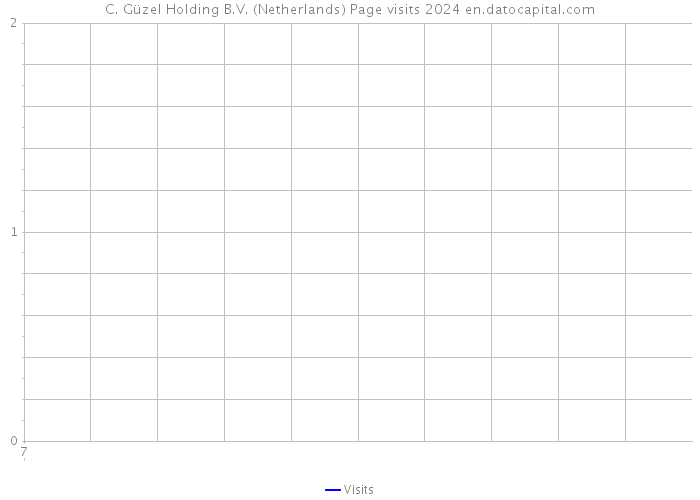 C. Güzel Holding B.V. (Netherlands) Page visits 2024 