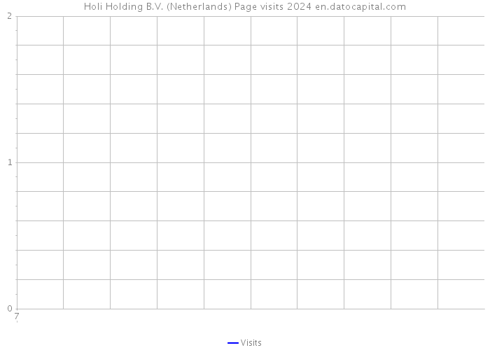 Holi Holding B.V. (Netherlands) Page visits 2024 