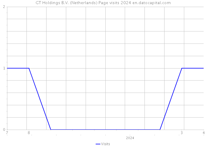 GT Holdings B.V. (Netherlands) Page visits 2024 