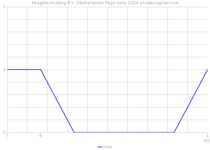 Abaghta Holding B.V. (Netherlands) Page visits 2024 