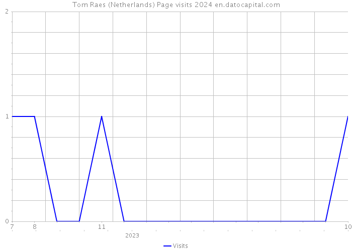 Tom Raes (Netherlands) Page visits 2024 