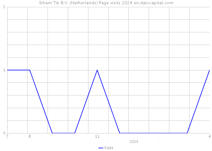 Siham Tib B.V. (Netherlands) Page visits 2024 