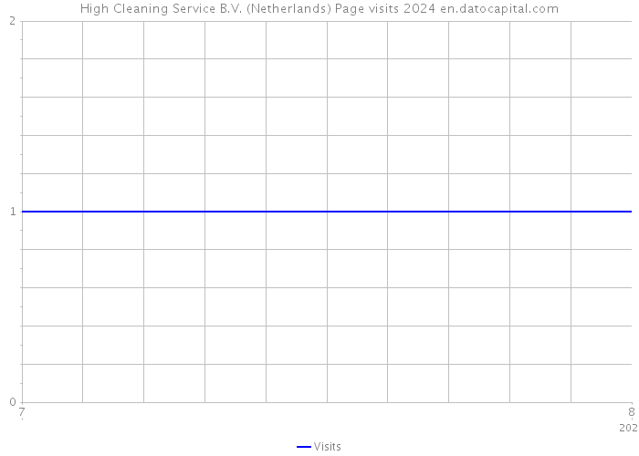 High Cleaning Service B.V. (Netherlands) Page visits 2024 
