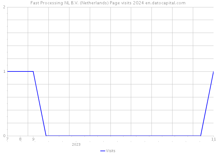 Fast Processing NL B.V. (Netherlands) Page visits 2024 