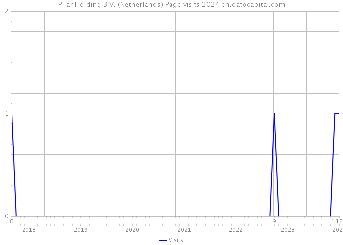 Pilar Holding B.V. (Netherlands) Page visits 2024 