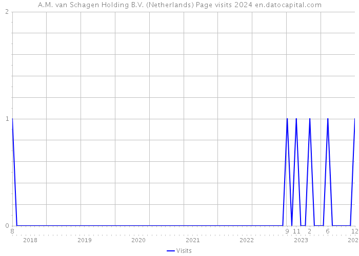 A.M. van Schagen Holding B.V. (Netherlands) Page visits 2024 