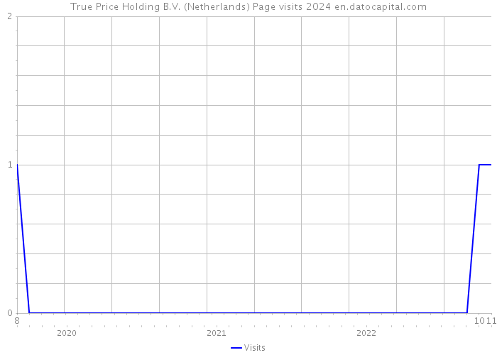 True Price Holding B.V. (Netherlands) Page visits 2024 