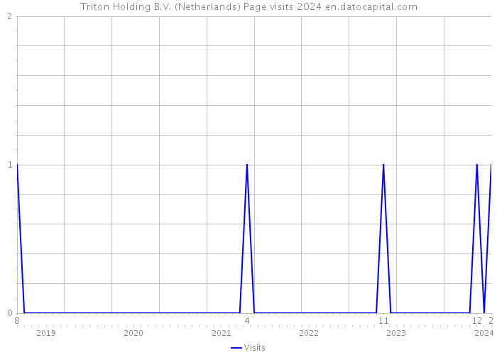 Triton Holding B.V. (Netherlands) Page visits 2024 