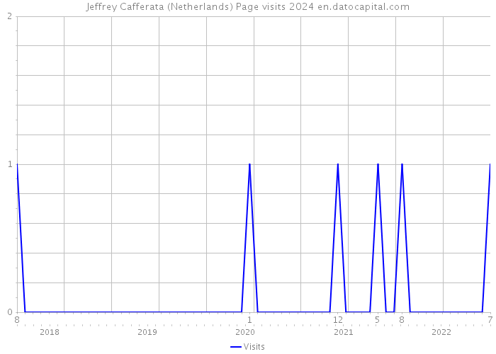 Jeffrey Cafferata (Netherlands) Page visits 2024 